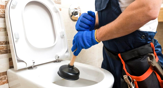 Toilet Repair and cleaning